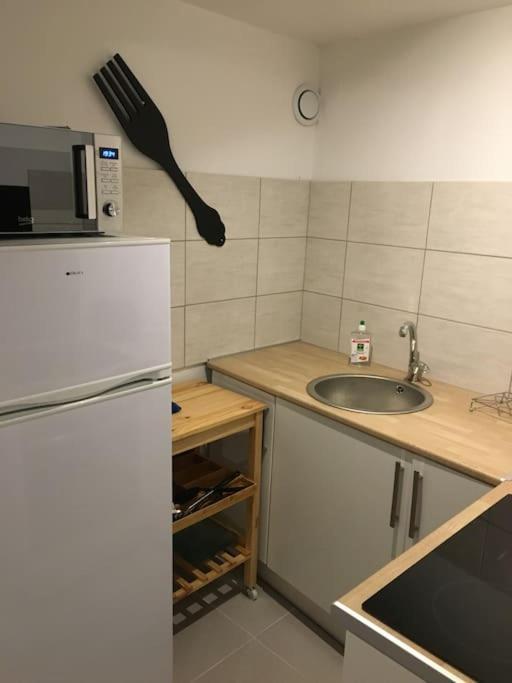 Le 58 - Loft Robespierre Apartment Reims Exterior foto